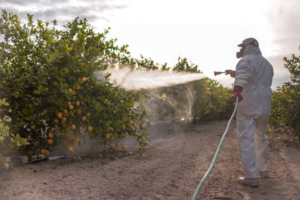 Best Pest Prevention Services  in East Prairie, MO