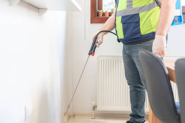 Best Best Pest Control Companies  in East Prairie, MO