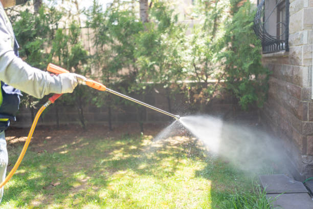 Best Termite Control Services  in East Prairie, MO