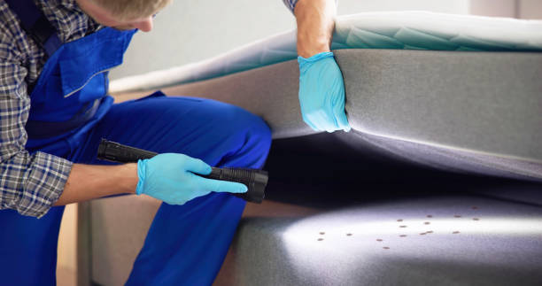 Best Affordable Pest Control Services  in East Prairie, MO