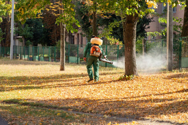 Best Cockroach Control Services  in East Prairie, MO