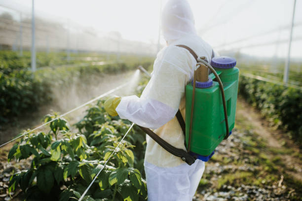 Pest Prevention Services in East Prairie, MO